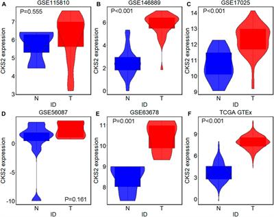 Expression Profile and Molecular Basis of Cyclin-Dependent Kinases Regulatory Subunit 2 in Endometrial Carcinoma Detected by Diversified Methods